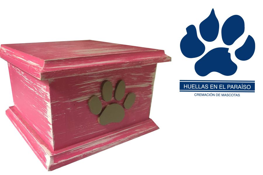 Cofre Tapa Chica — urna personalizada para cremación de mascotas