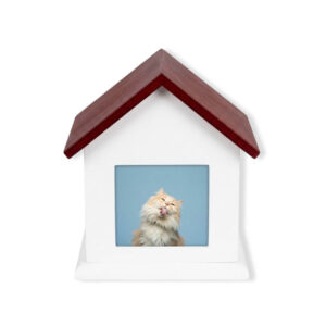 Casa Foto