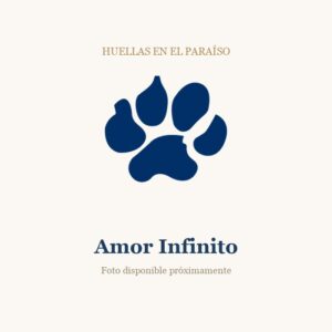 Amor Infinito