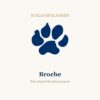 Broche