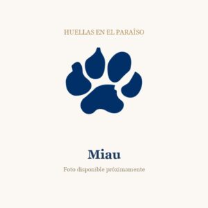 Miau