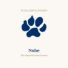 Nube