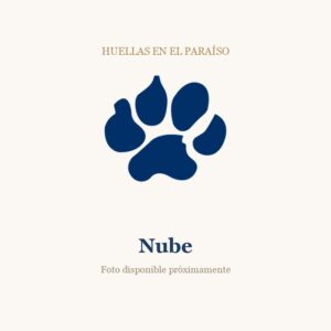 Nube