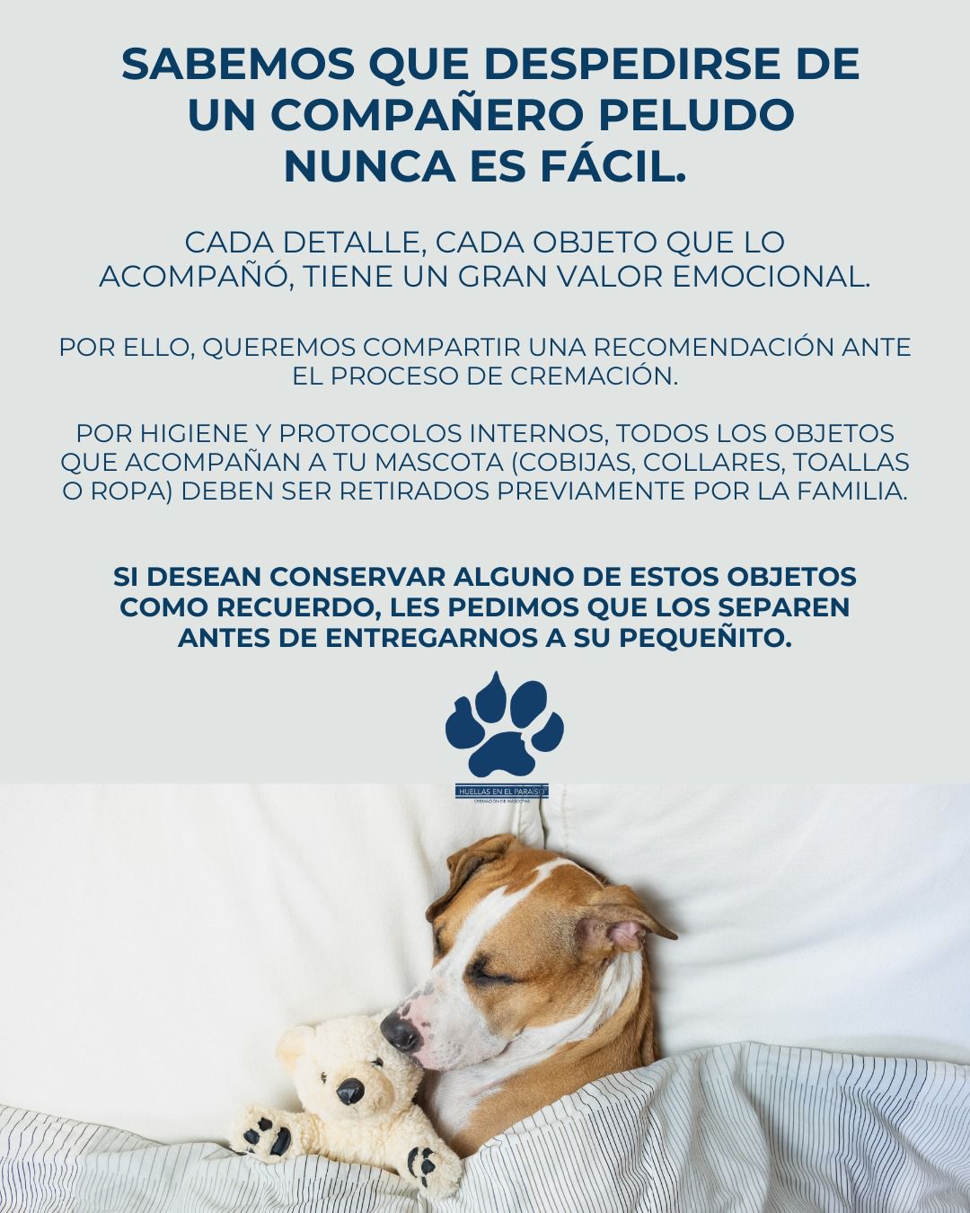 Recomendación: separa las pertenencias de tu mascota antes de la cremación